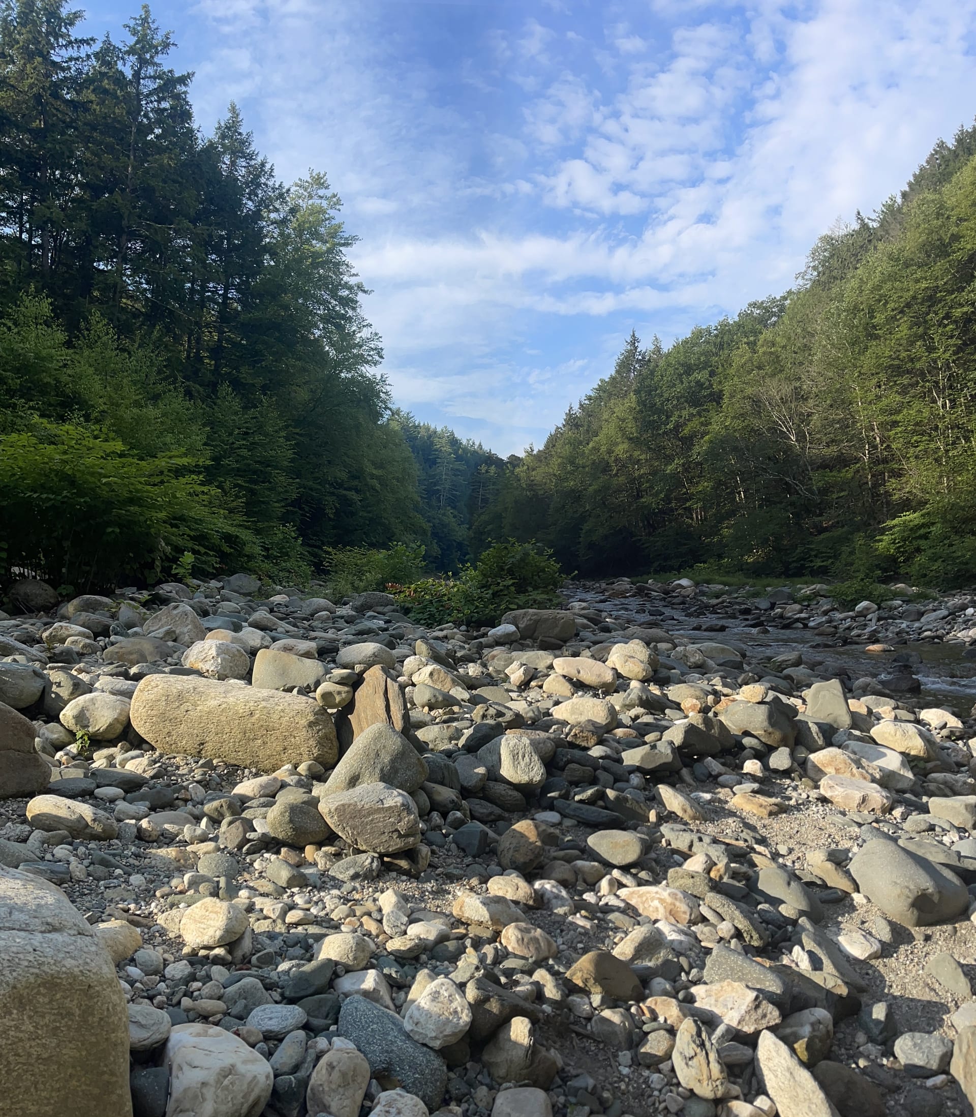 Downtown Brattleboro Downtown Brattleboro — photo for this Rock River Vermont listing