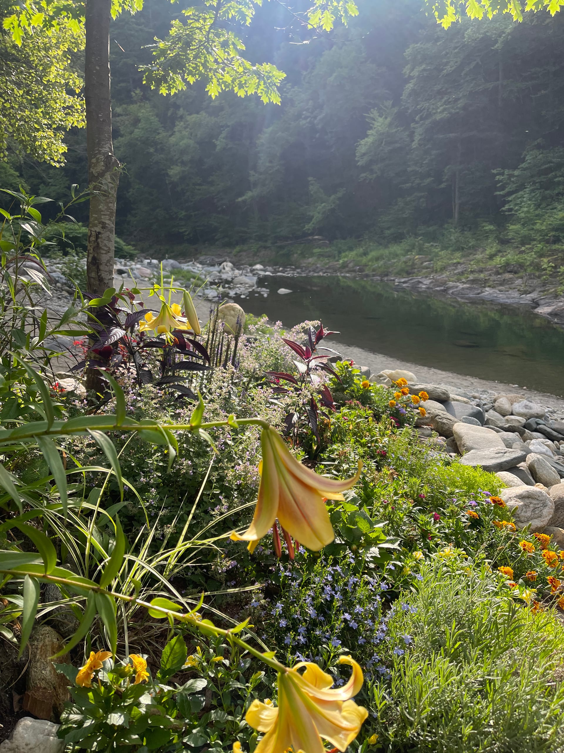 Rock River streambed — rounded cobbles and clear water, southern Vermont