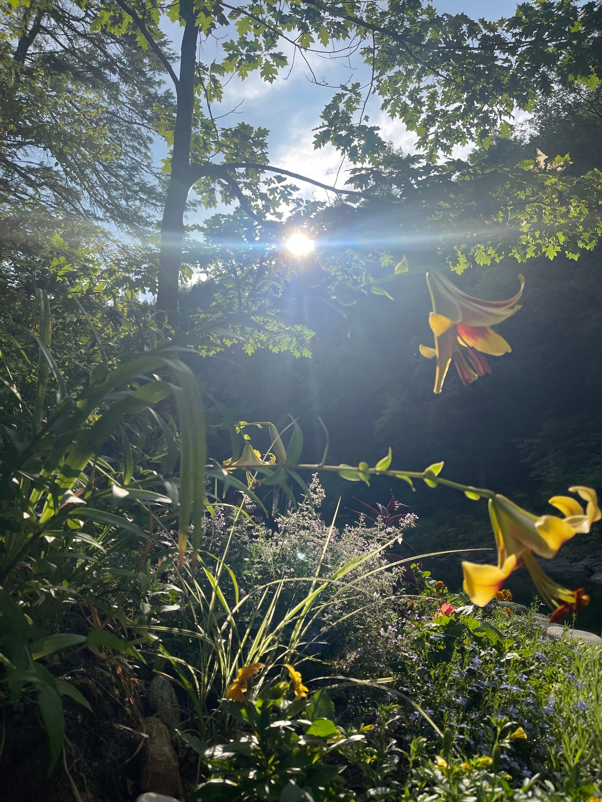 Rock River trail and river corridor — Windham County, VT