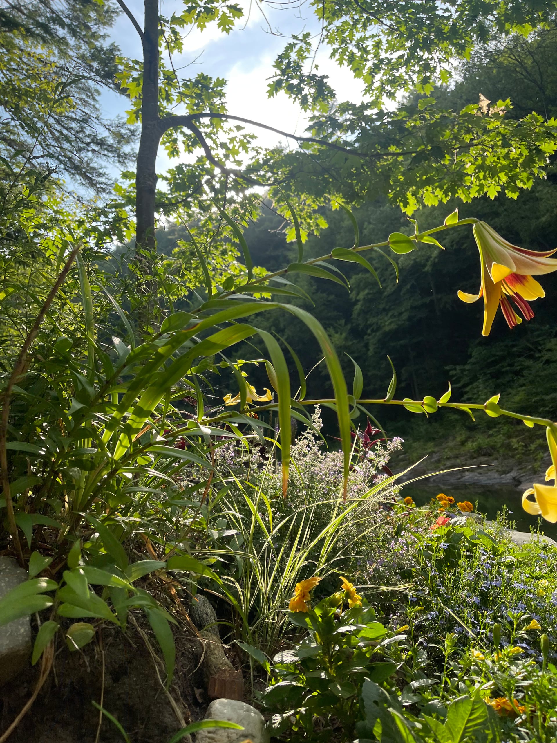 Rock River outdoors — rocky pools and swimming area near Newfane