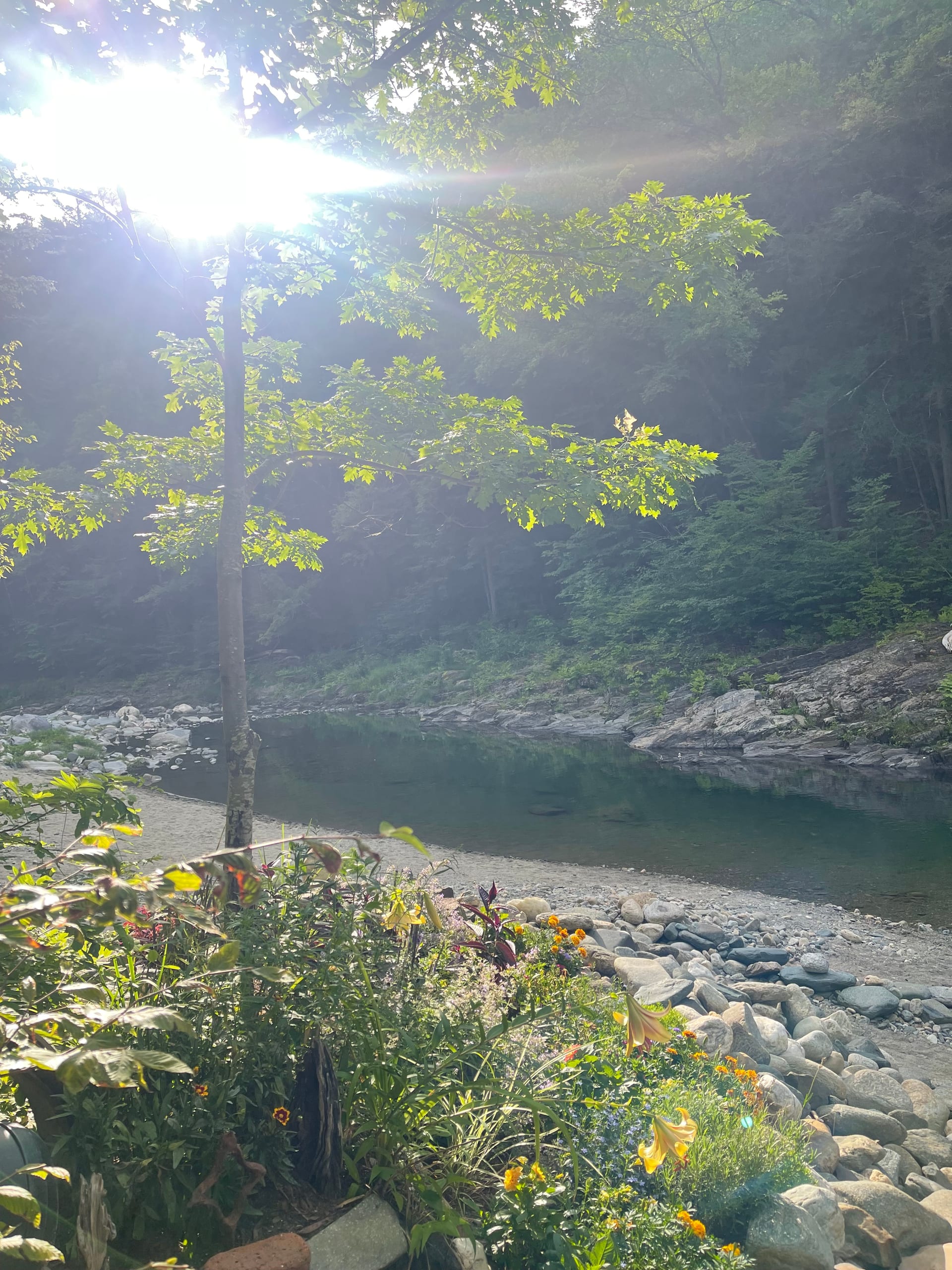 Rock River path — river bank and trail, Newfane, VT