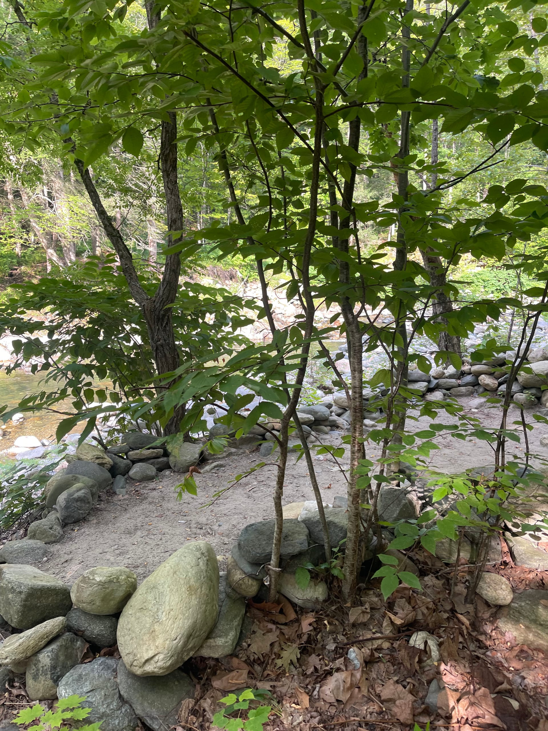 Rock River streambed — rounded cobbles and clear water, southern Vermont