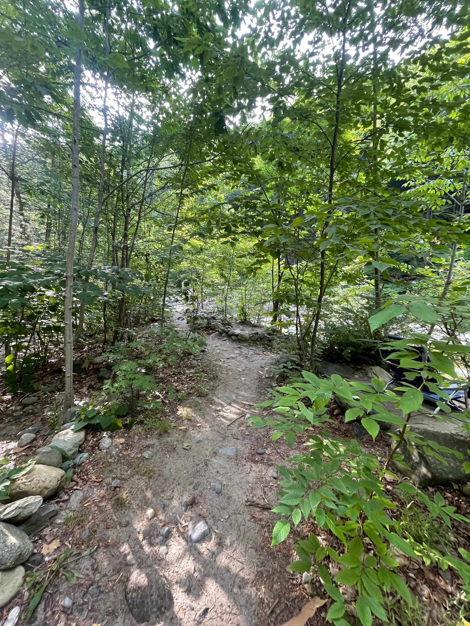 Rock River banks — woods and swimming holes, Newfane, Vermont