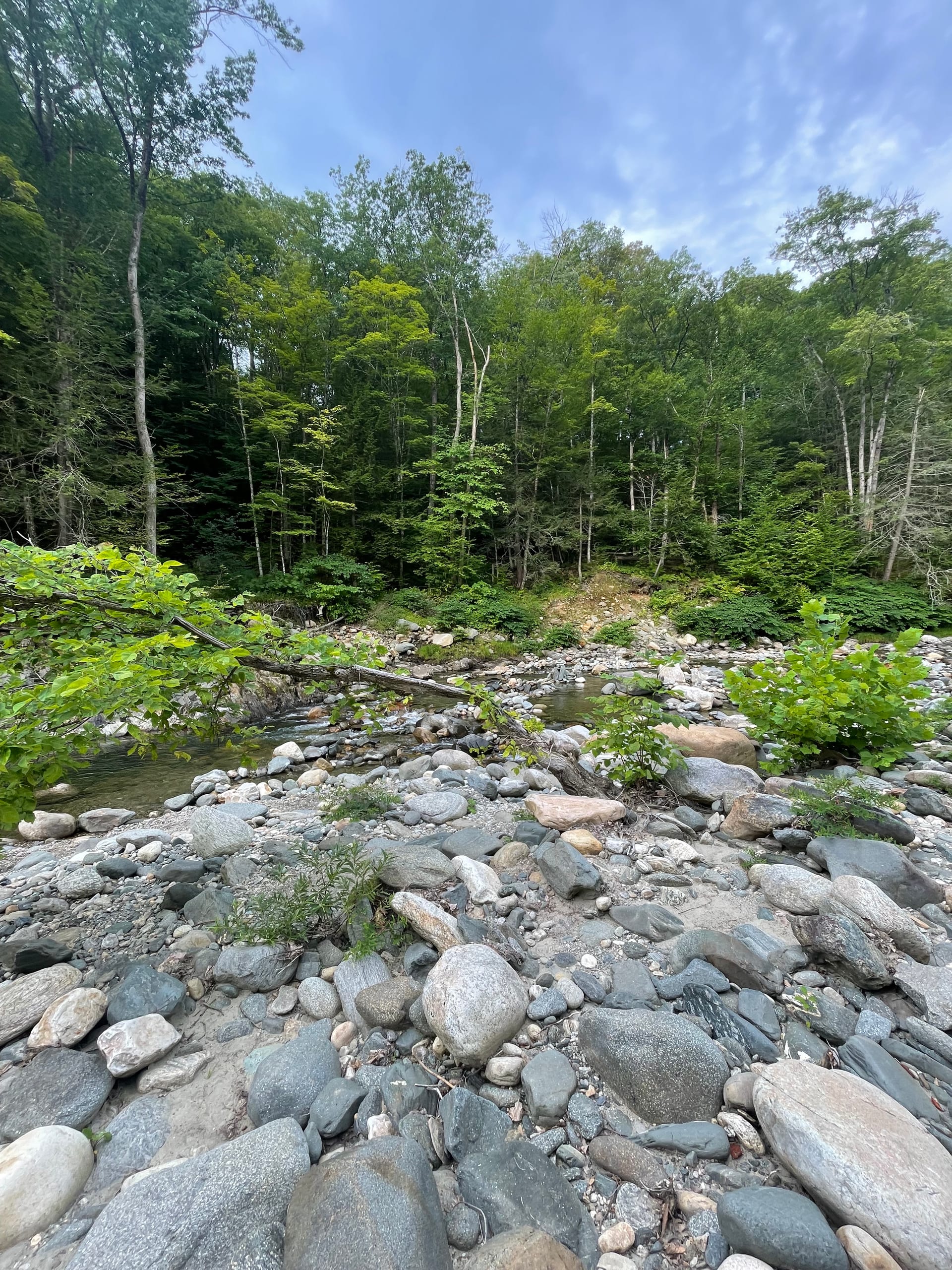 Rock River path — river bank and trail, Newfane, VT