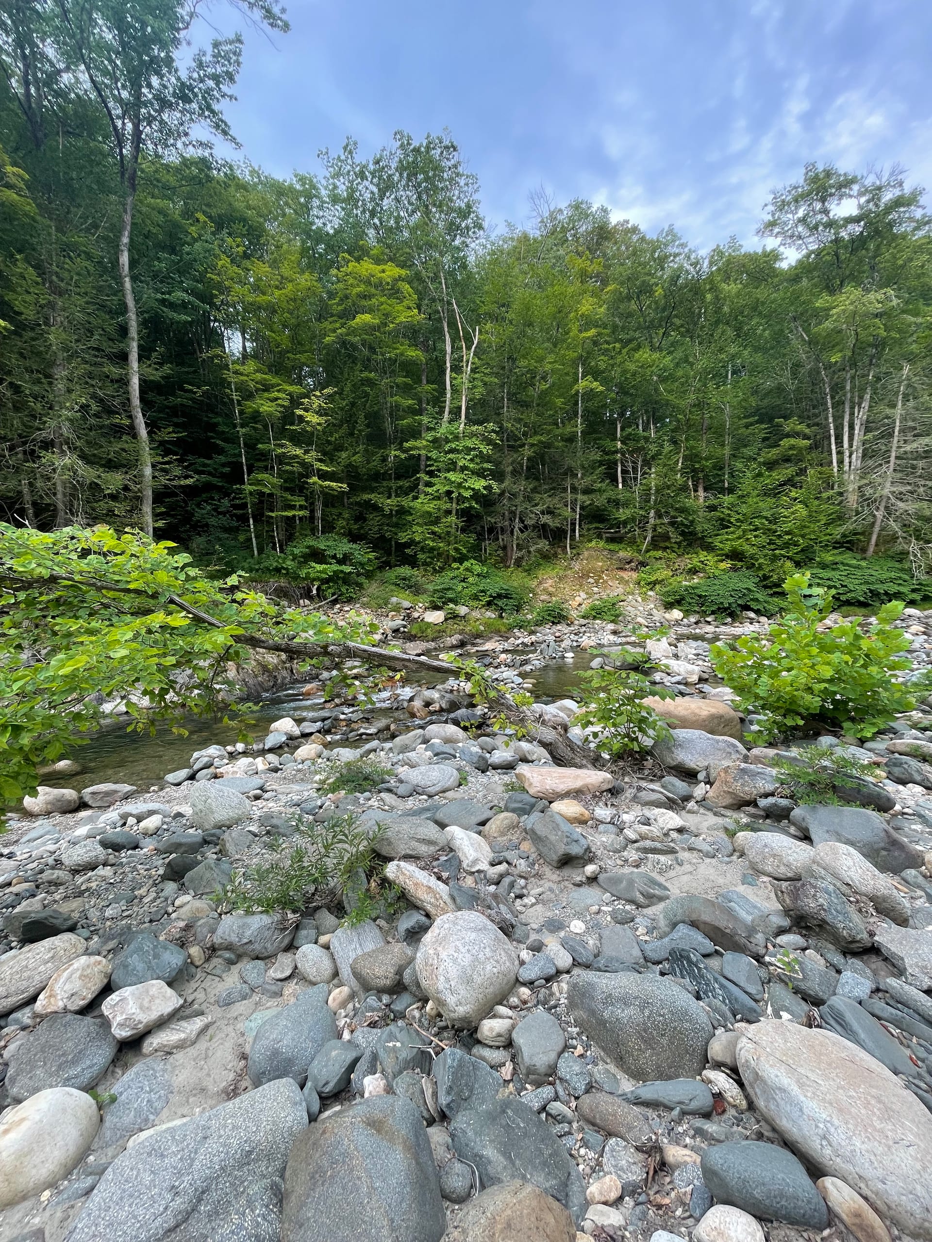 Rock River trail and river corridor — smooth stone, pools, Windham County VT (near Brattleboro)