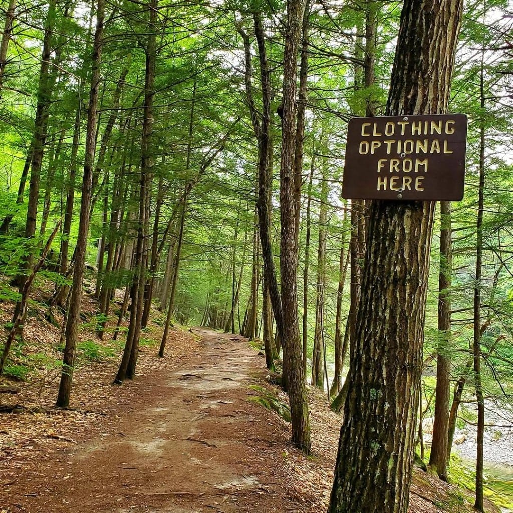 Brown trail sign on a tree at Rock River, Vermont, reading Clothing Optional From Here — pine-needle path and sunlit hemlock forest