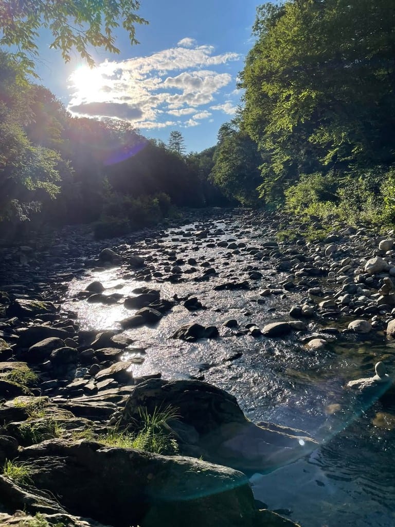 Sunny vertical view down a rocky Rock River bed, Vermont — sparkling water, lens flare, stone cairn in the shallows, green forest walls and blue sky