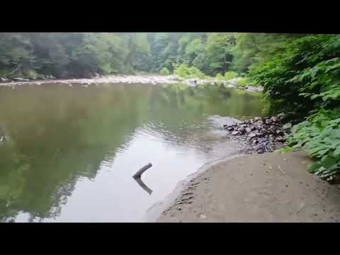 Rock River trail walk — Newfane, Vermont (Windham County).