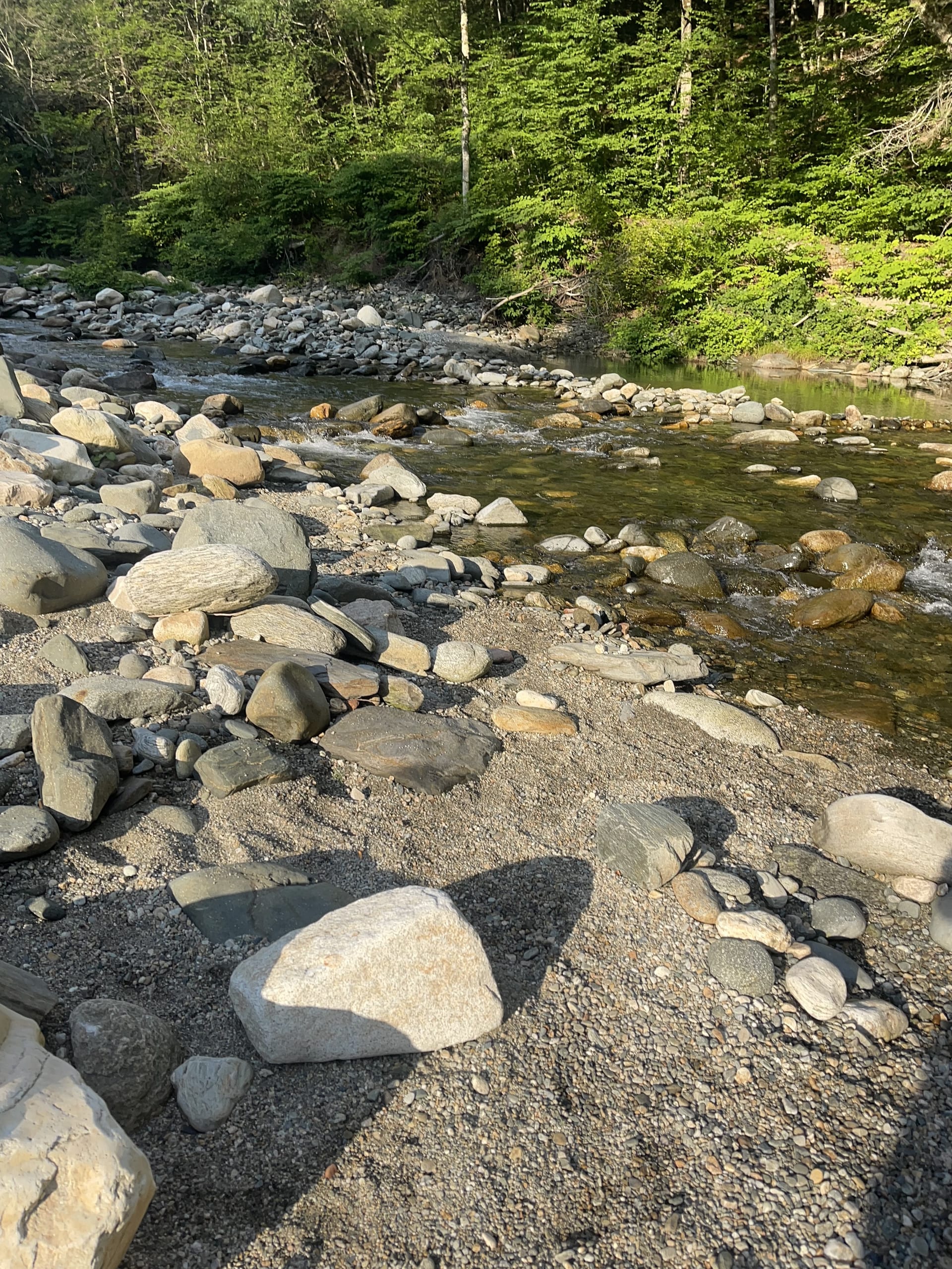 Co-op espresso bar Co-op espresso bar — photo for this Rock River Vermont listing