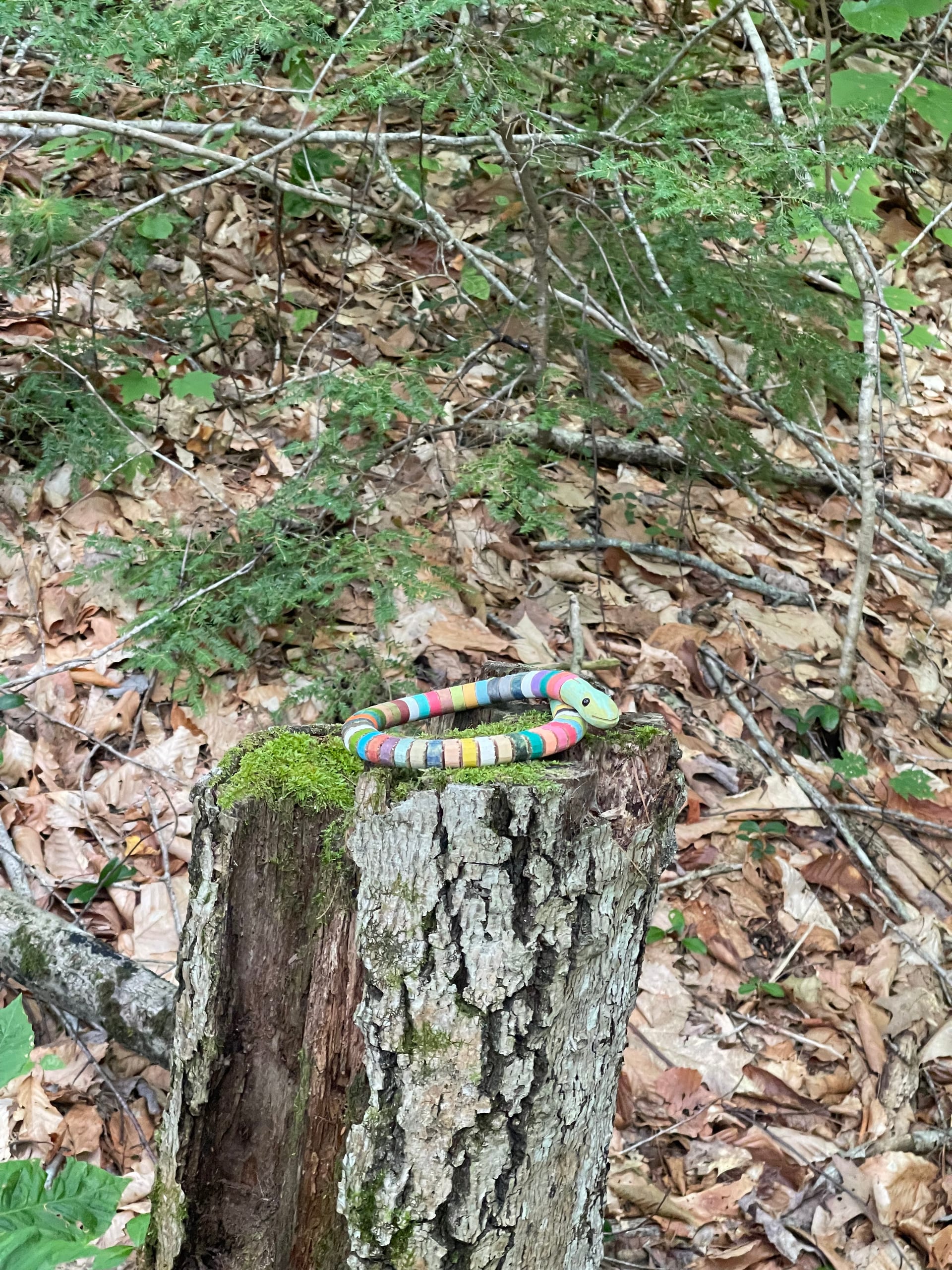 Whetstone Station Whetstone Station — photo for this Rock River Vermont listing