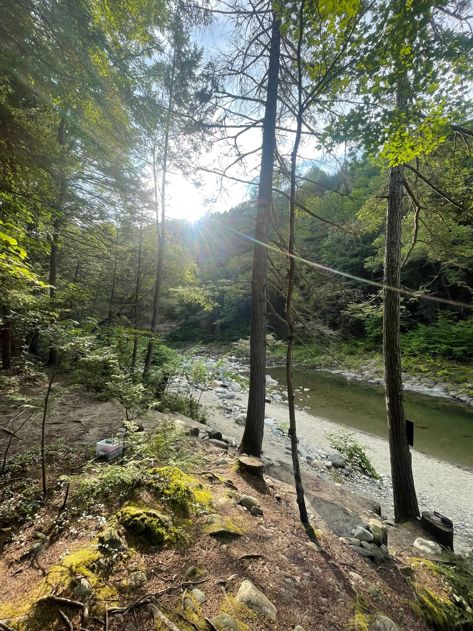 Putney Inn Putney Inn — photo for this Rock River Vermont listing