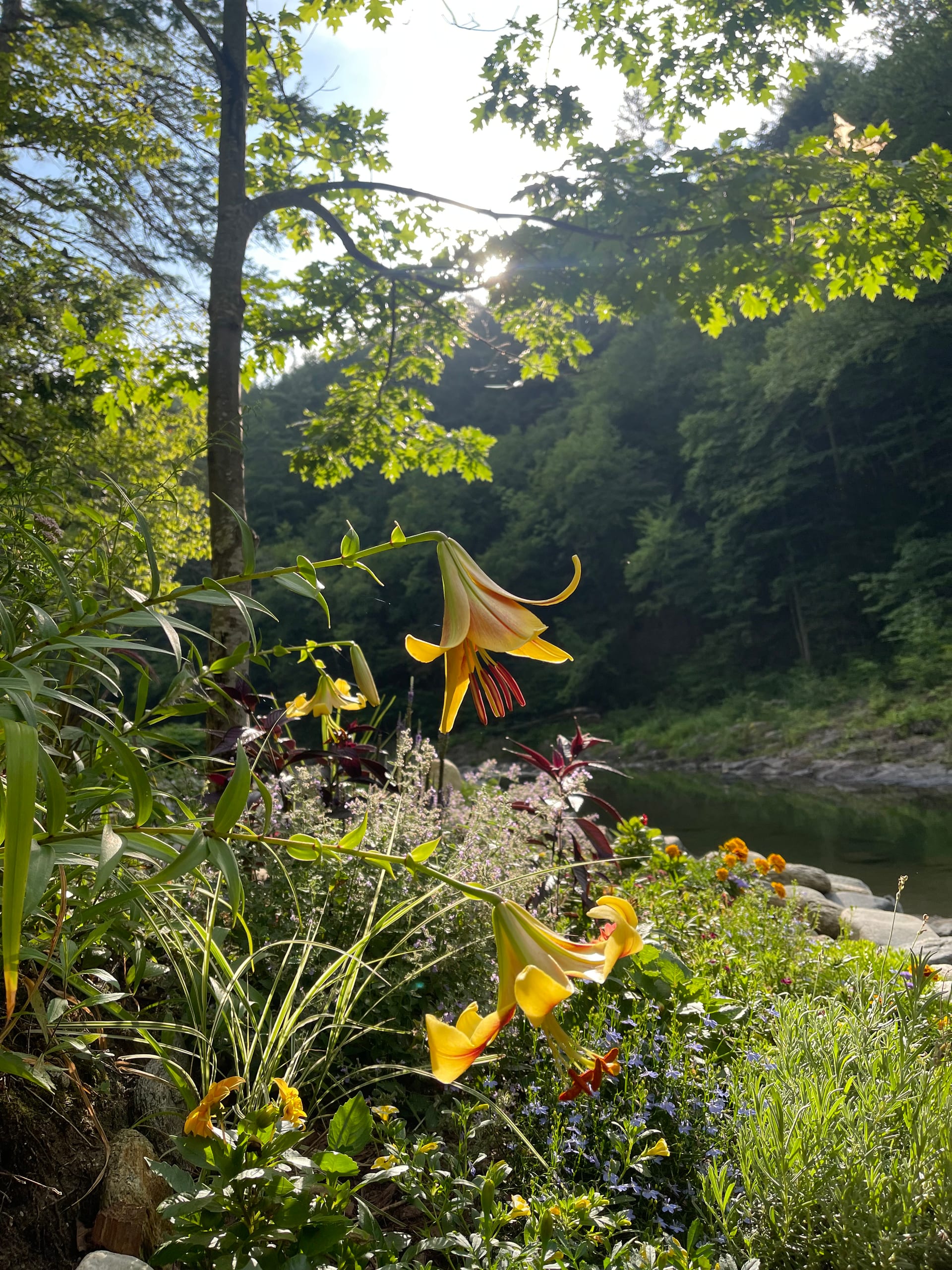 Wilmington · Deerfield Valley Wilmington · Deerfield Valley — photo for this Rock River Vermont listing