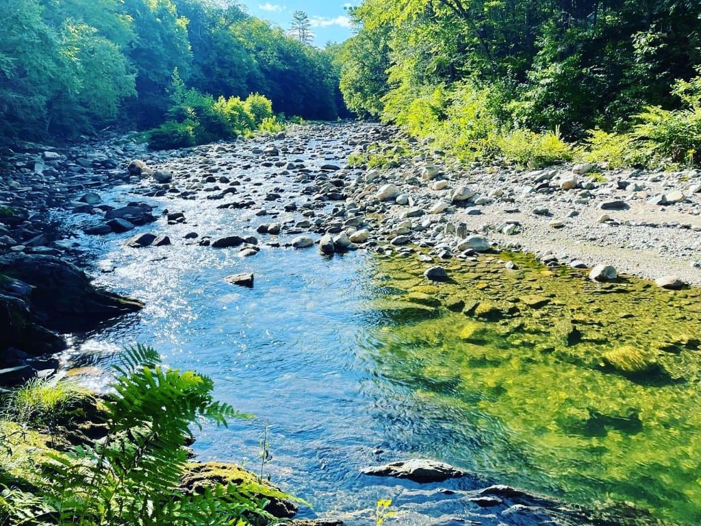 Rock River — rocky pools and forest Clear water flowing over a smooth rocky riverbed at Rock River, Vermont, surrounded by dense summer forest and ferns — southern Vermont river recreation