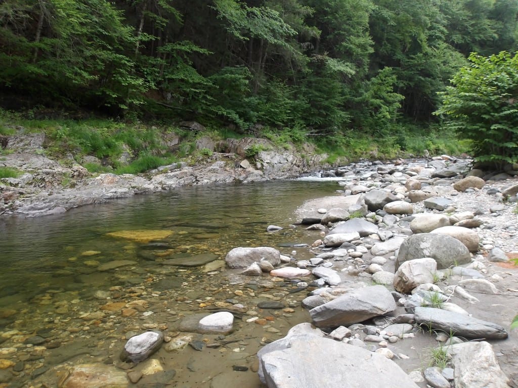 Clear shallow Rock River water flowing over smooth stones through a lush green Vermont forest in summer — Windham County near Newfane