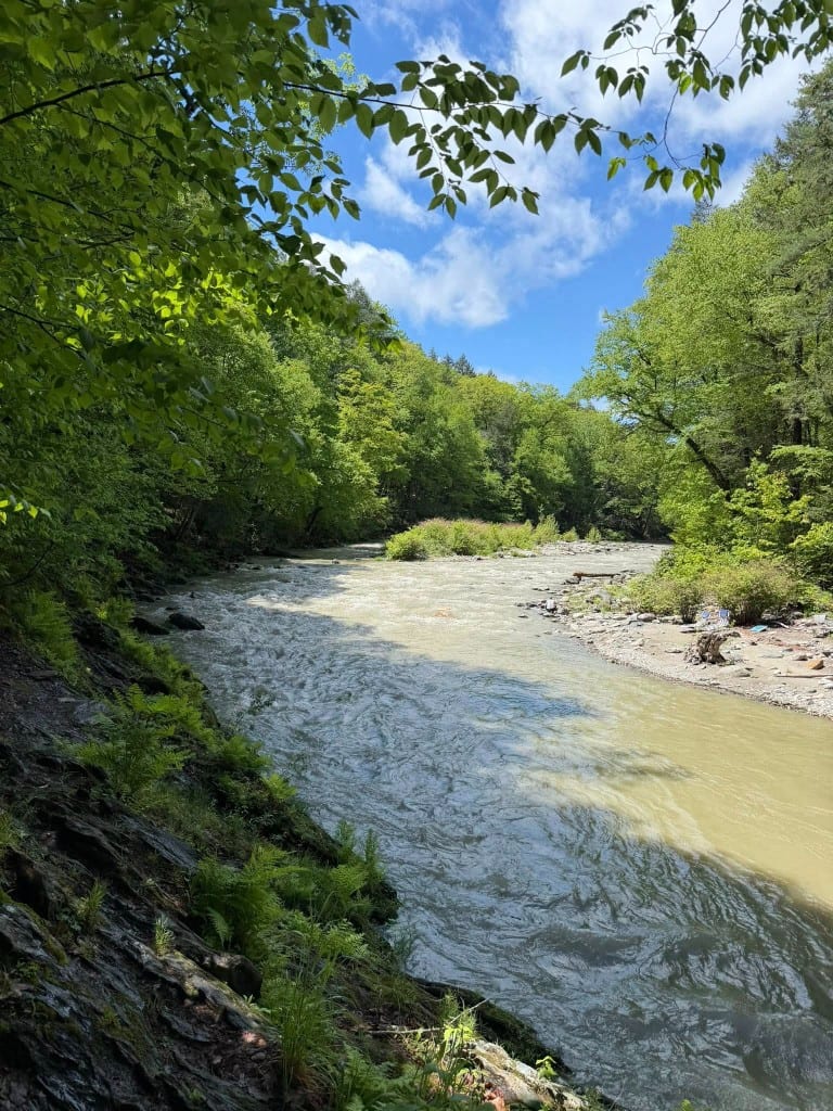 Rock River — high, muddy water after rain Rock River running high and muddy with churning tan water after heavy rain, Newfane, Vermont — green summer banks under a blue sky, a clear reminder to wait out spring runoff before swimming