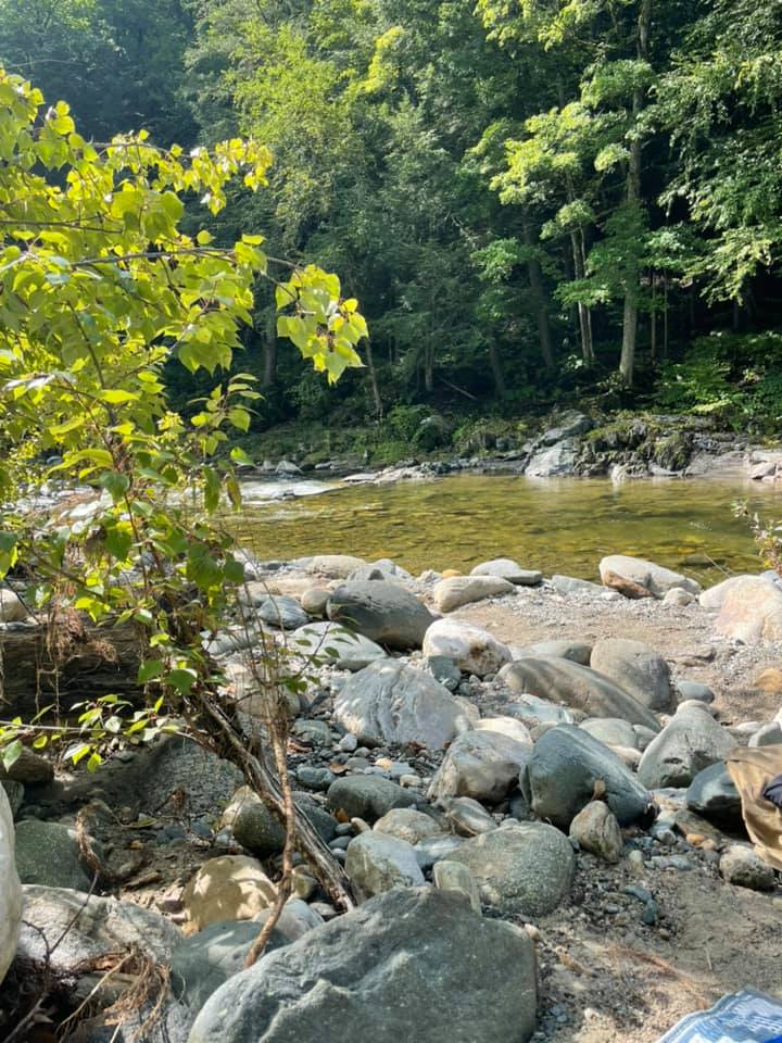 Stones and a green pool Smooth riverbank stones and a calm green pool framed by summer forest at Rock River, Newfane Vermont — August swimming hole