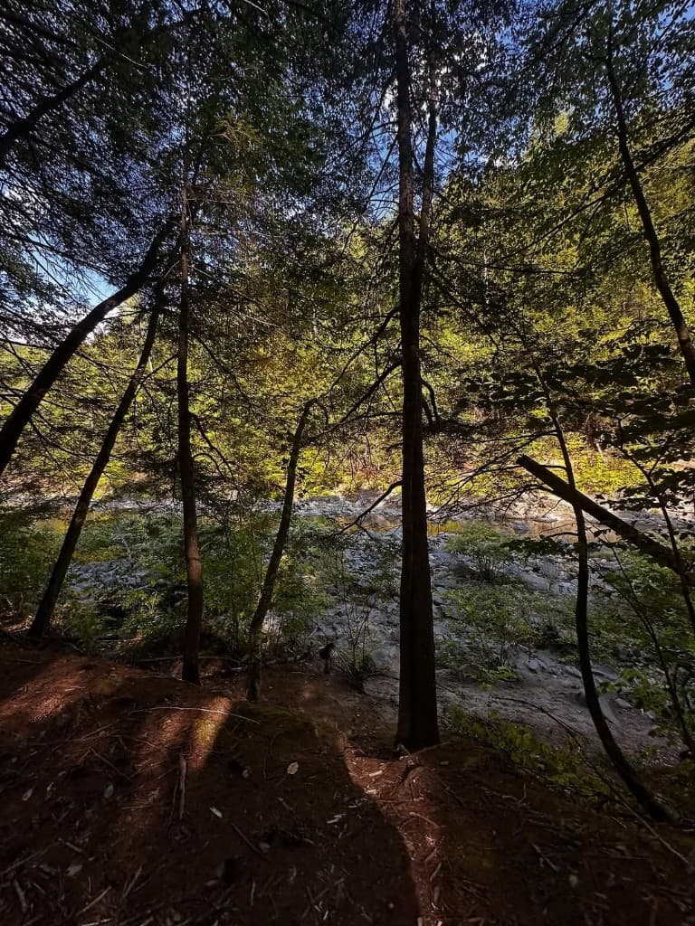 Wooded Rock River trail access in Southern Vermont for a low-key weekend visit