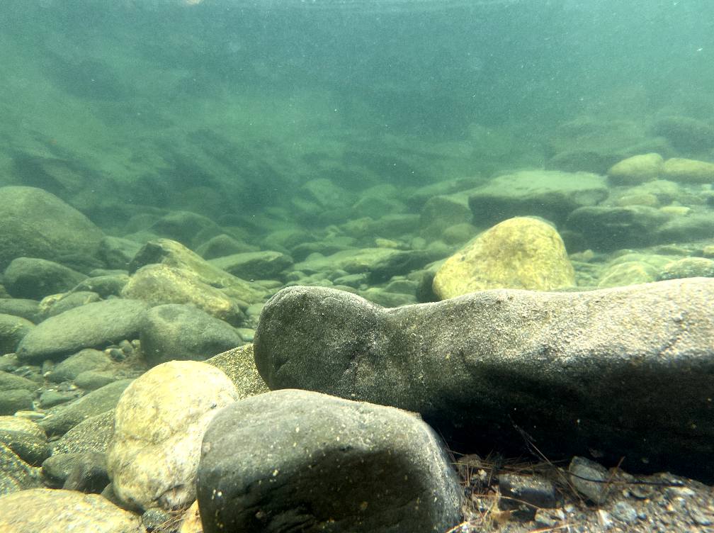 Under the surface Underwater view of rounded cobbles in the clear green shallows of Rock River, Newfane Vermont — how the swimming holes look below the surface